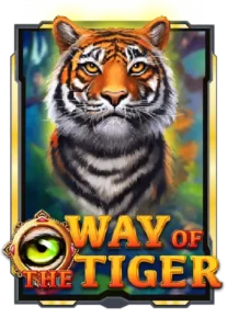 way-of-the-tiger